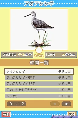 Snapshot